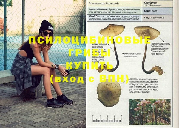 mdma Новокубанск