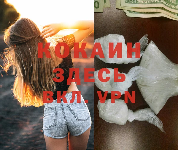 мяу мяу мука Новодвинск