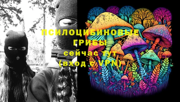 мяу мяу мука Новодвинск