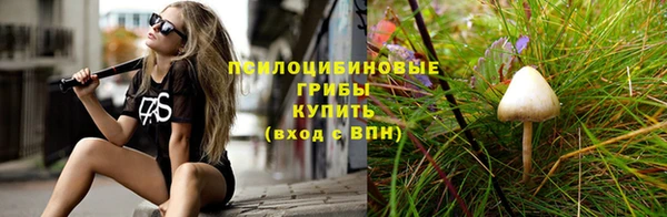 мяу мяу мука Новодвинск
