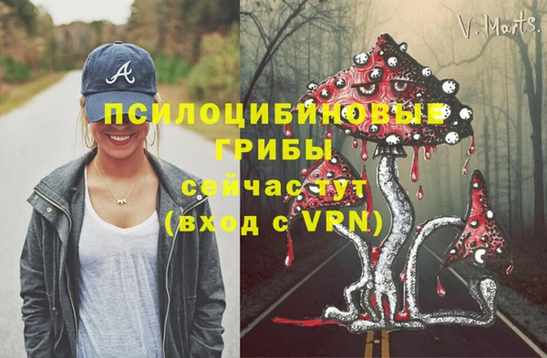 меф Новозыбков