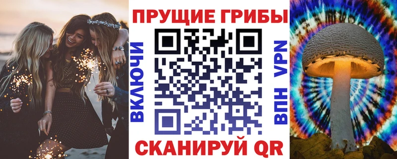 наркотики  Гуково  Псилоцибиновые грибы прущие грибы 