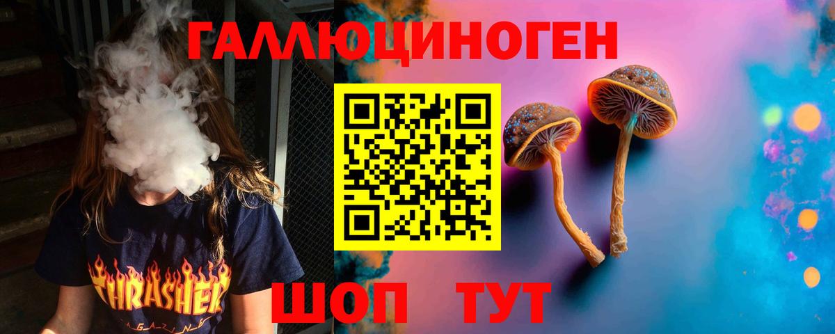 Гуково  Псилоцибиновые грибы прущие грибы  Вход с VPN 