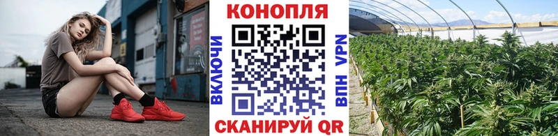 Конопля SATIVA & INDICA  Гуково 